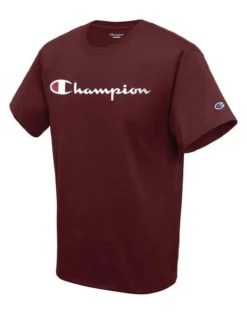 Champion Men's Classic Graphic Tee