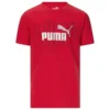 Puma Boys Logo Lab Pack Jersey SS Graphic Tee
