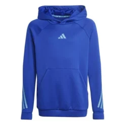 ADIDAS Boys Train Icons Hoodie